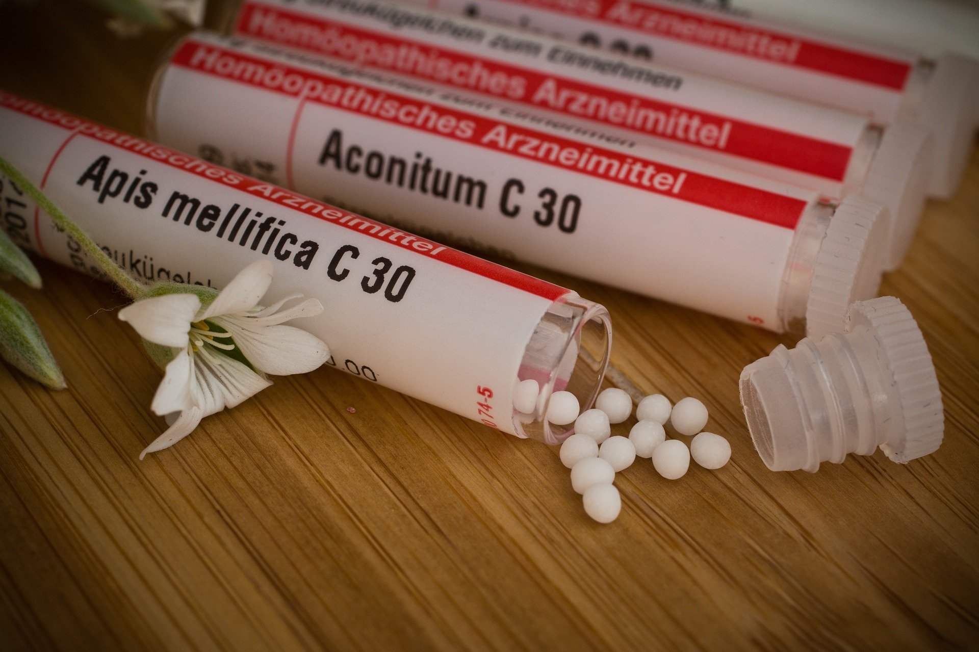 Les diathèses Homéopathiques, un allié de taille pour les naturopathes