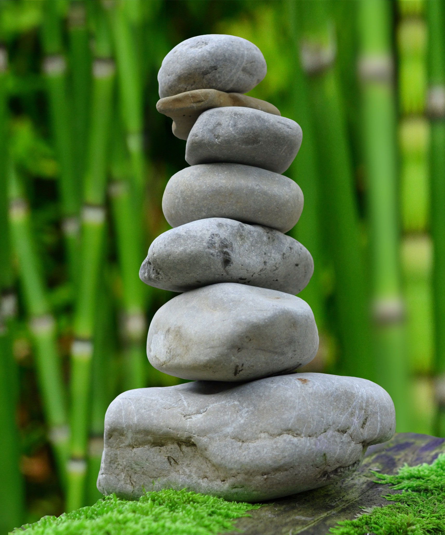 Coronavirus : que faire pour entretenir son immunité ?