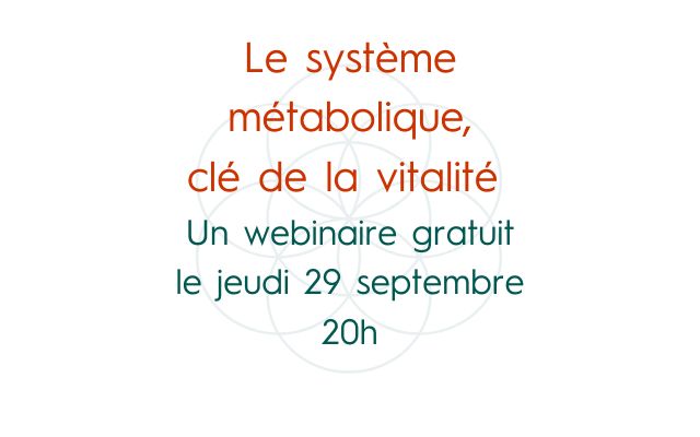 Le système métabolique, clé de la vitalité