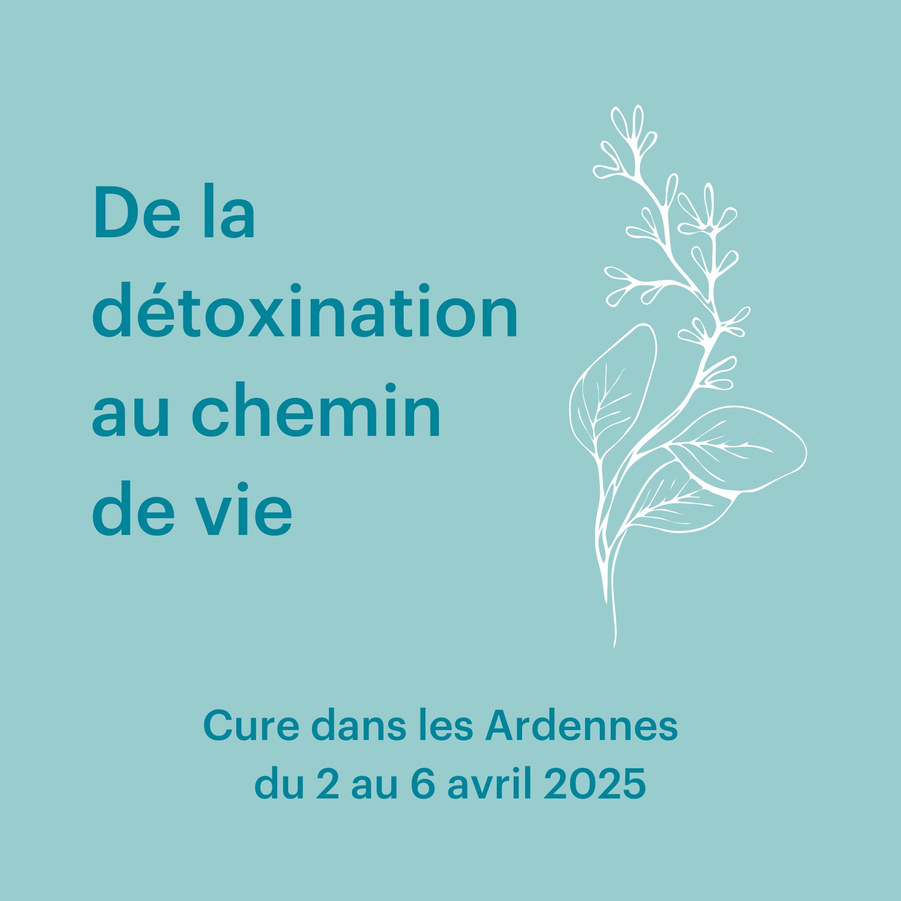 But de la cure "de la détoxination au chemin de vie"