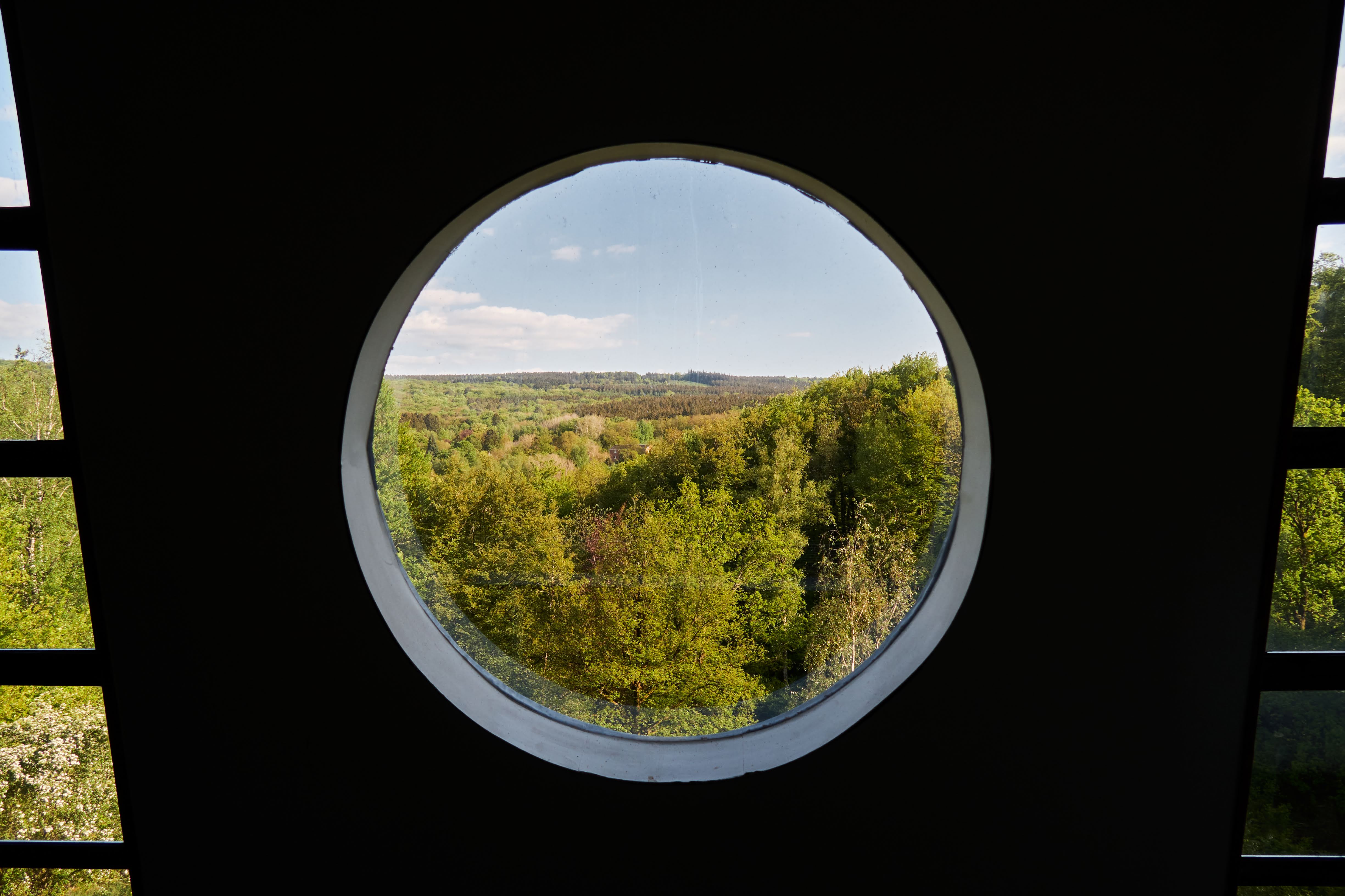 Et si les toxines étaient là pour nous aider ! (Partie 2)