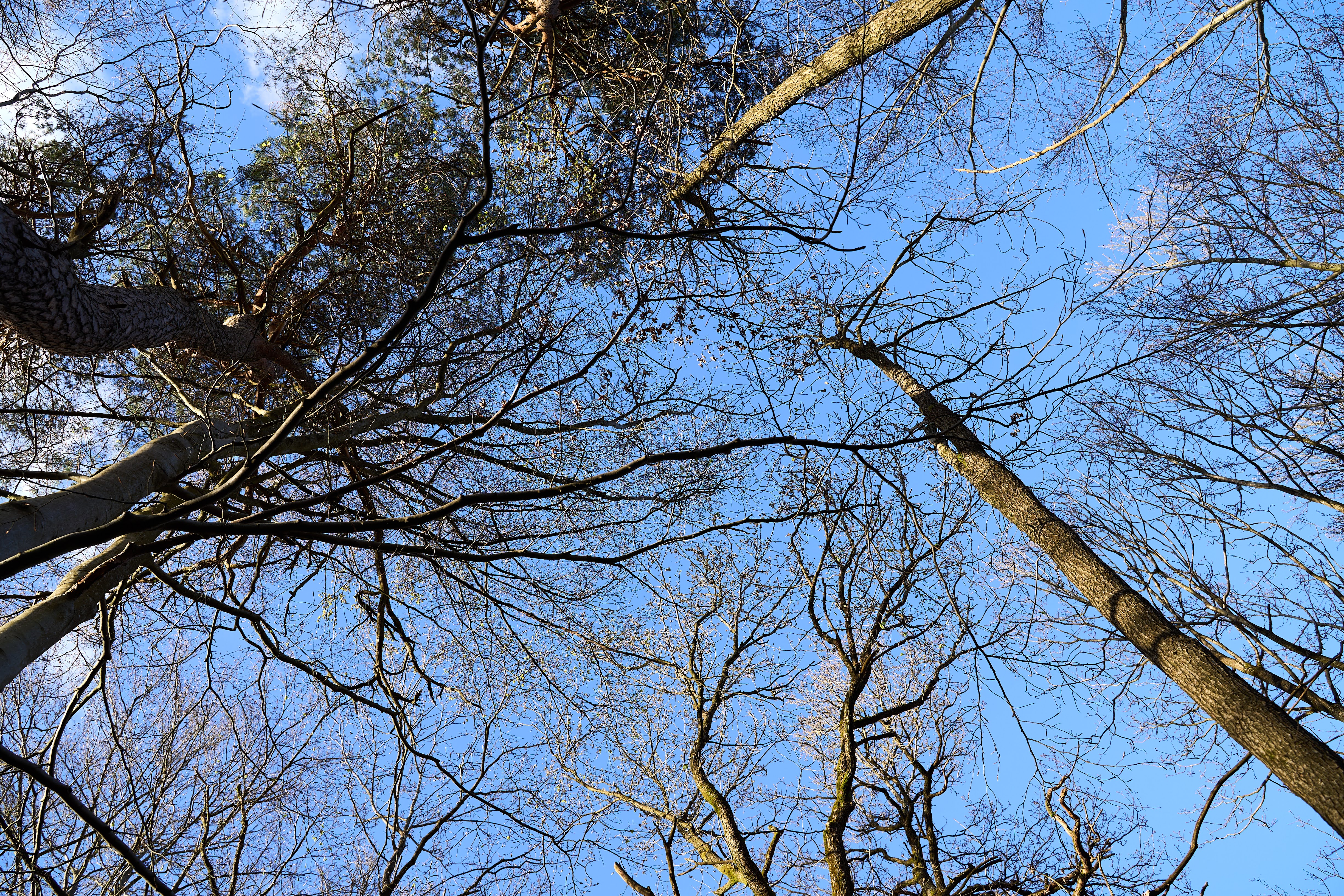 Et si les toxines étaient là pour nous aider ! (Partie 3)